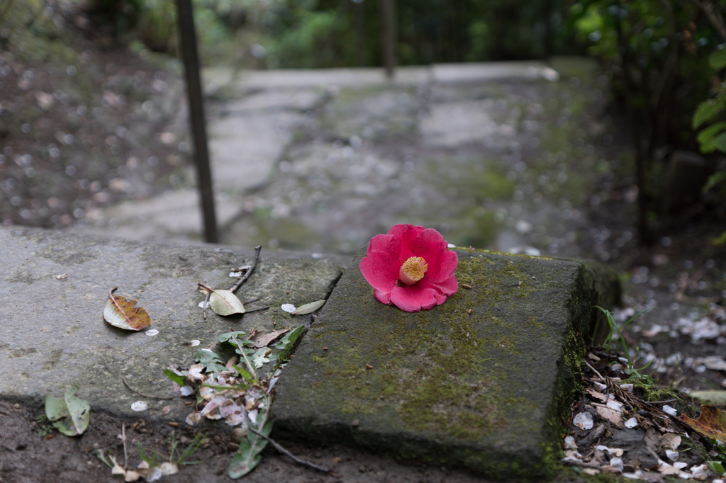 光則寺