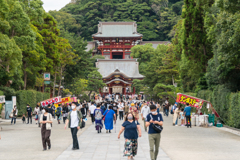 鎌倉　鶴岡八幡宮
