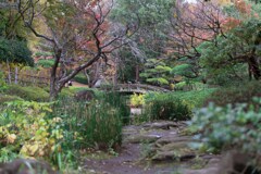 平塚総合公園　日本庭園