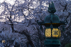 エーデル鎌倉散歩