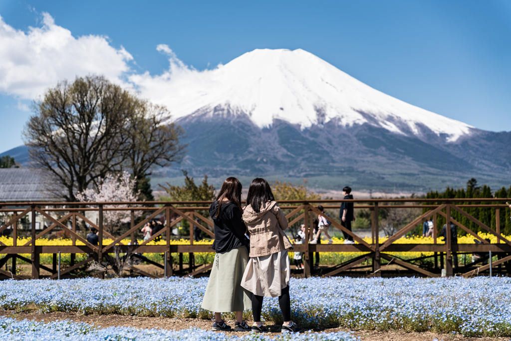 山中湖　花の都公園
