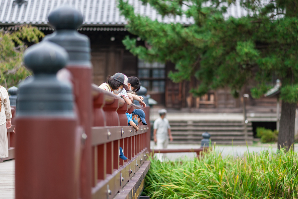 称名寺スナップ