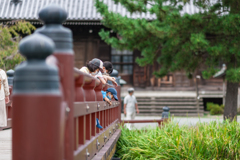 称名寺スナップ