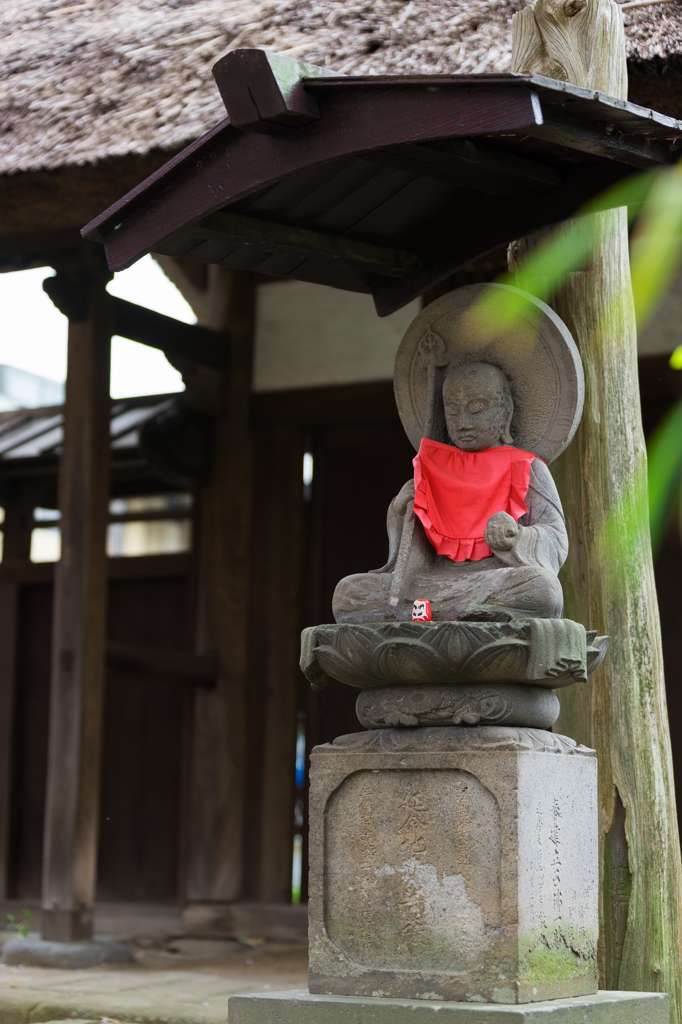 2016 称名寺の桜