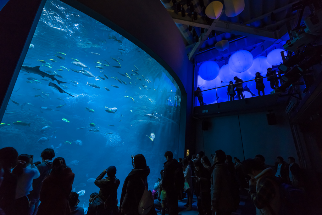 新江ノ島水族館