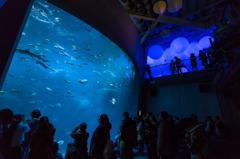 新江ノ島水族館