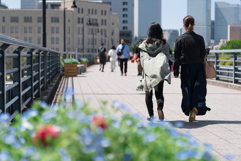 春の横浜スナップ