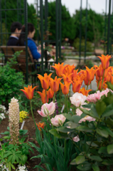 港の見える丘公園