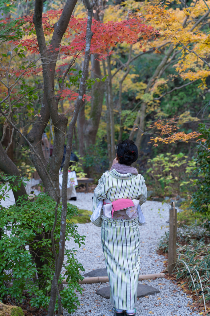 鎌倉　一条恵観山荘