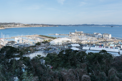 江ノ島スナップ