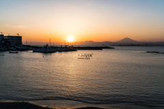 葉山スナップ