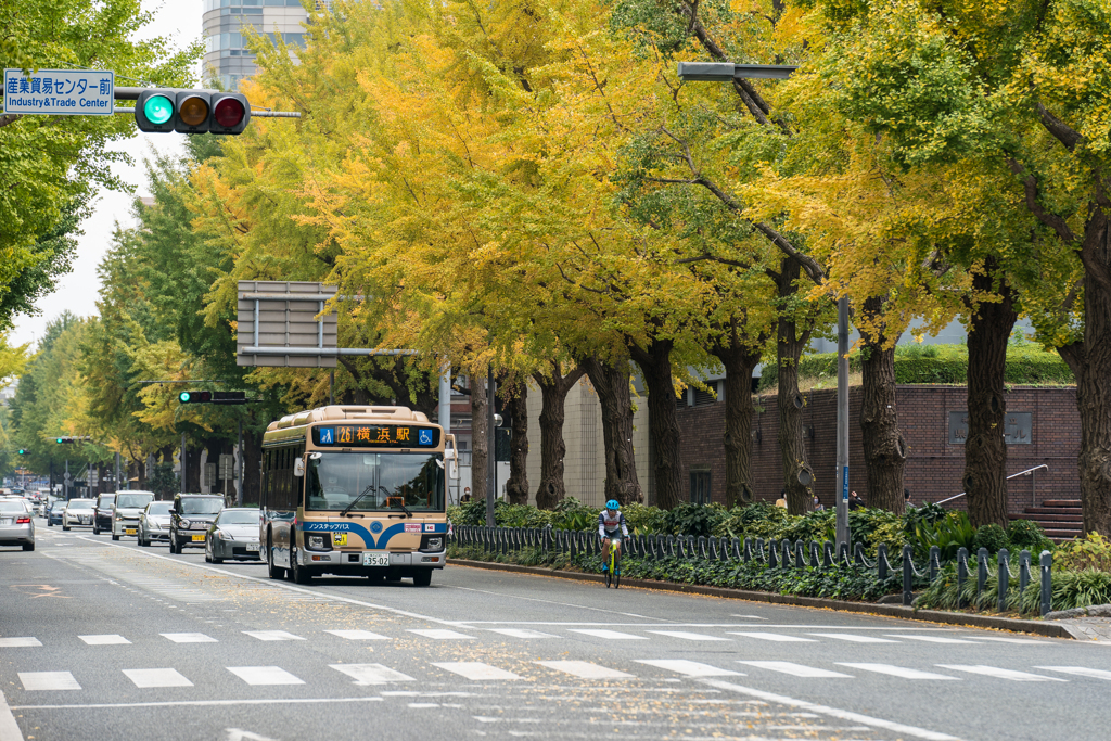 山下公園　紅葉