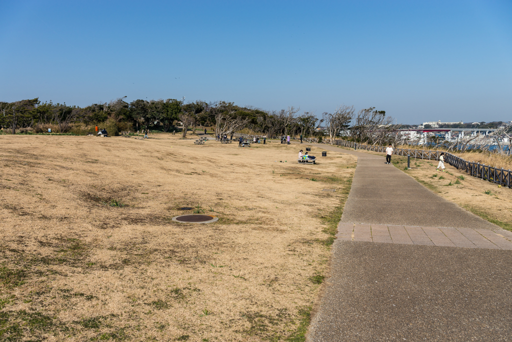 2021-08-07 城ヶ島