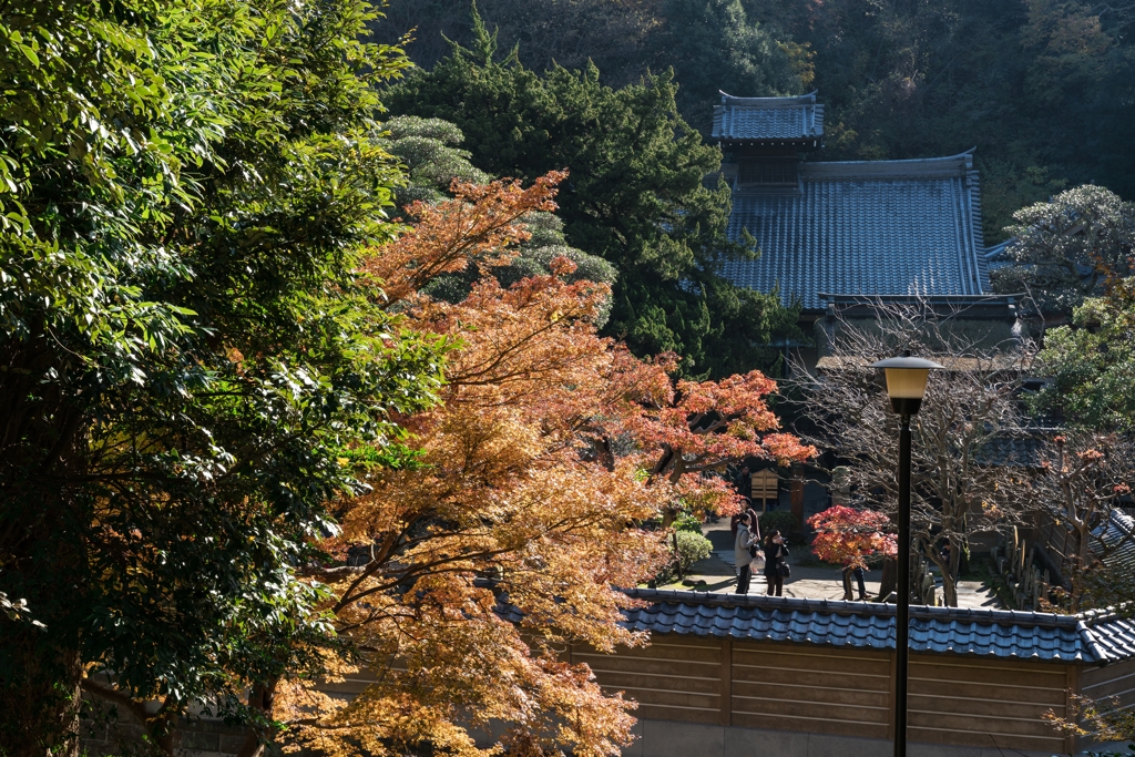 秋の円覚寺
