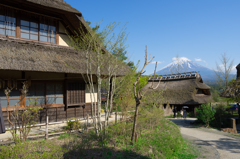 西湖いやしの里根場