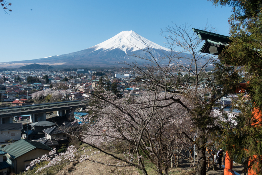 新倉山浅間公園階段からの富士山