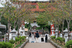 鎌倉　鶴岡八幡宮