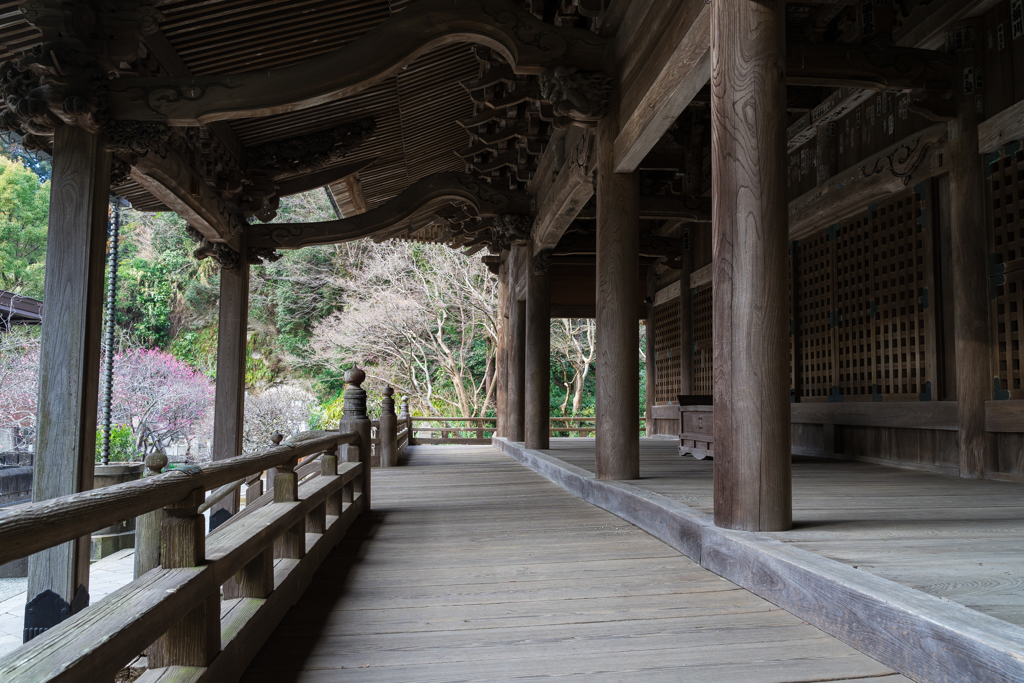 鎌倉・妙本寺