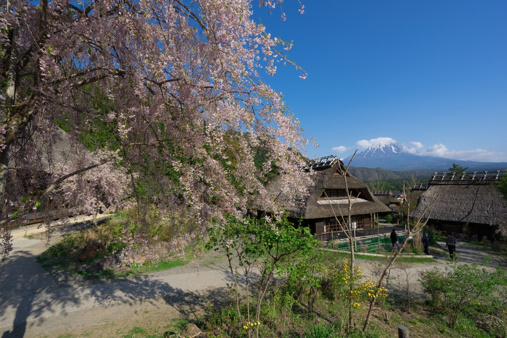 西湖いやしの里根場