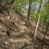 本栖湖展望台登山道