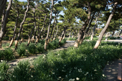 2021-08-07 城ヶ島