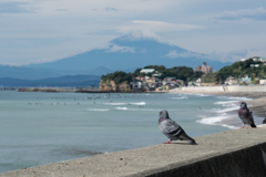 七里ヶ浜の富士山