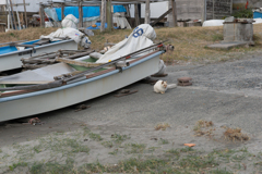 森戸海岸スナップ