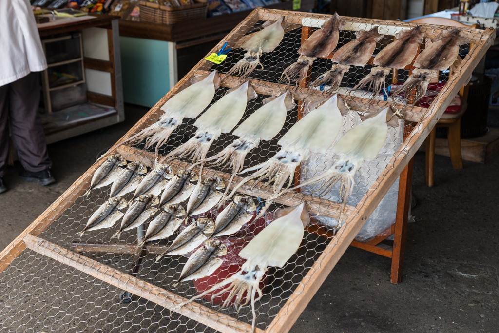 2021-08-07 城ヶ島