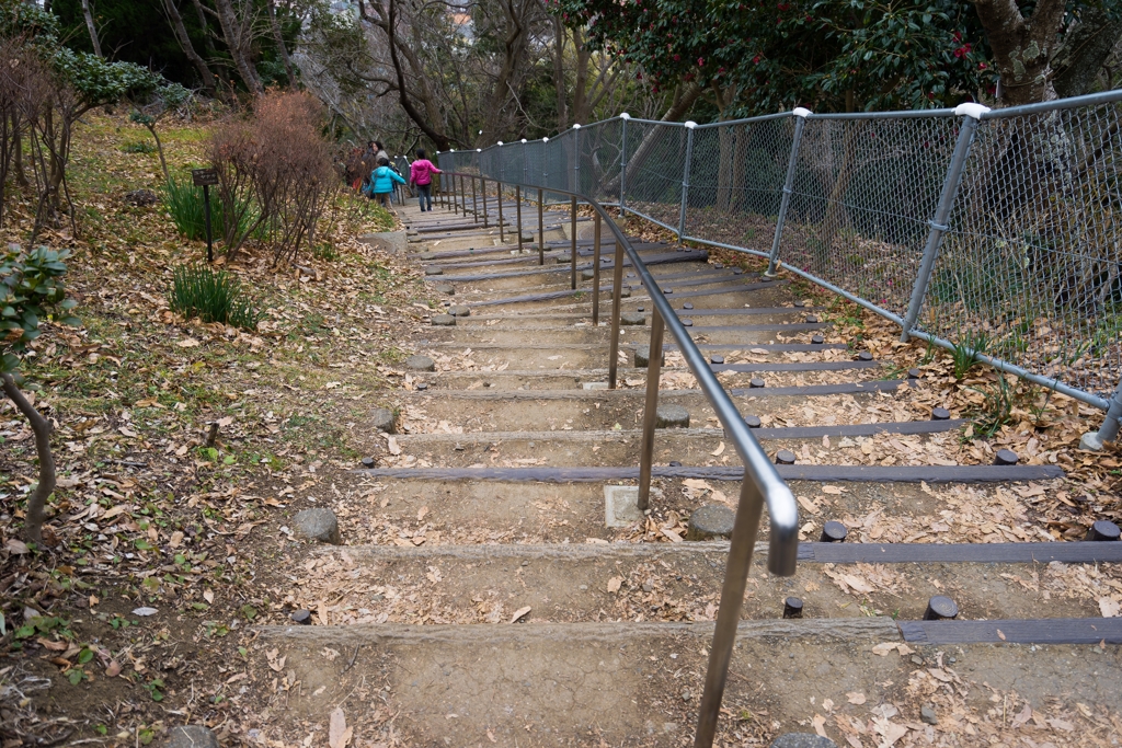 吾妻山公園の階段