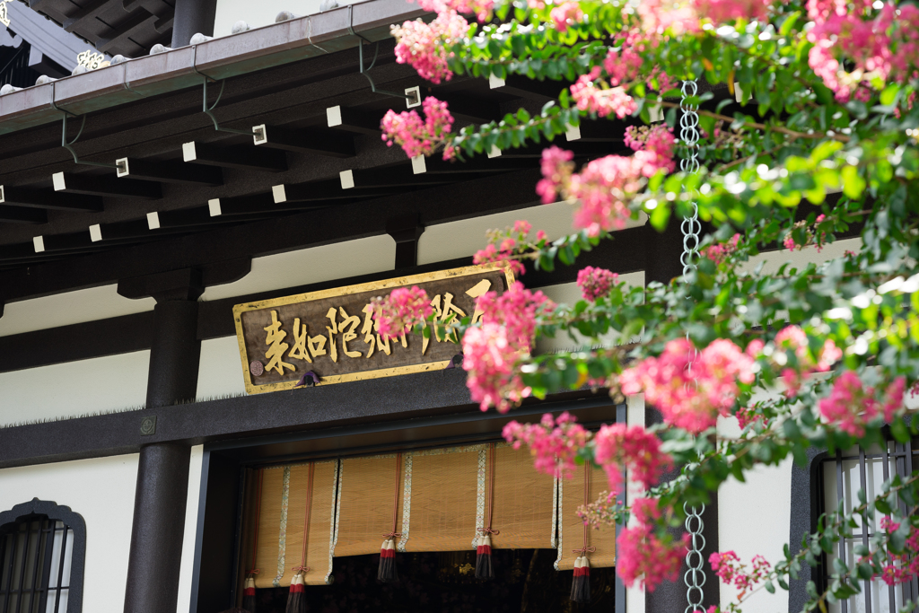 鎌倉スナップ　長谷寺