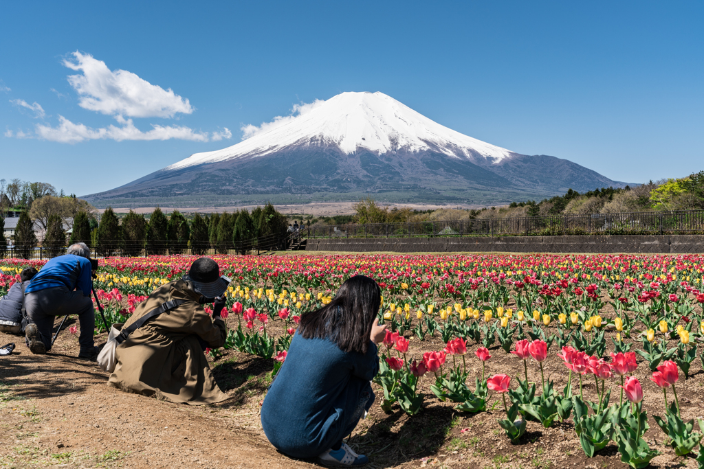 山中湖　花の都公園