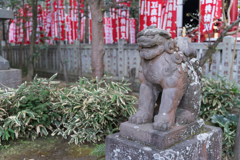 江ノ島スナップ