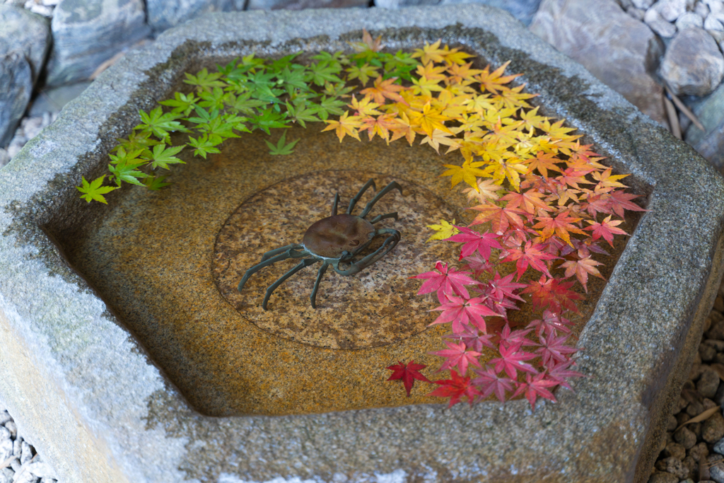 鎌倉　一条恵観山荘