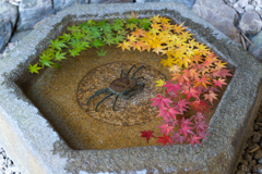 鎌倉　一条恵観山荘