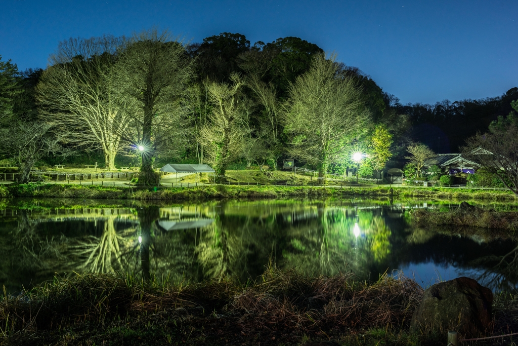 2020年 元旦の称名寺
