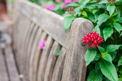 α700 横浜スナップ