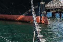 2021-01-31 山下公園