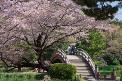 2018年春の称名寺
