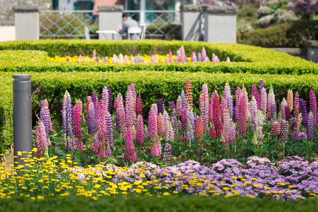 2018/03/31横浜スナップ