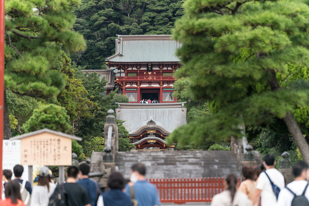 鎌倉　鶴岡八幡宮
