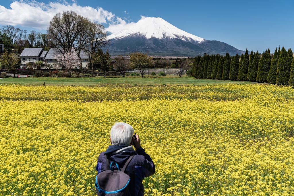 山中湖　花の都公園