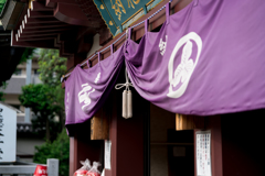 川崎大師スナップ