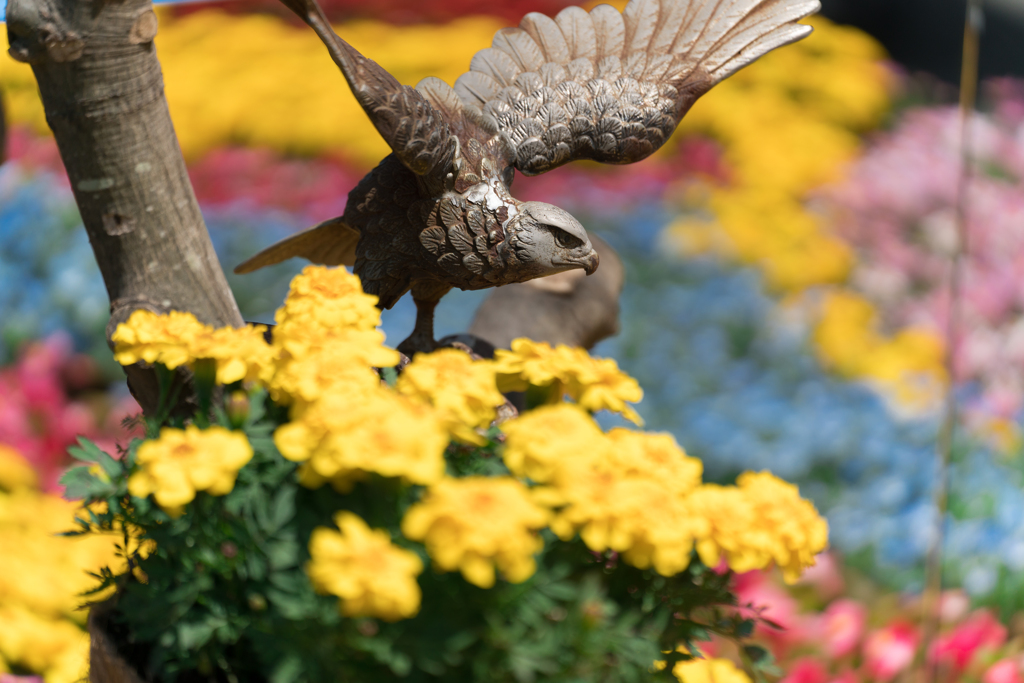 春の横浜スナップ