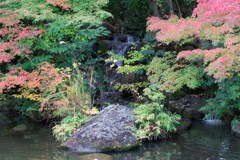 平塚総合公園　日本庭園