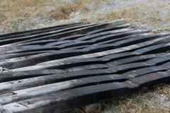 森戸海岸スナップ