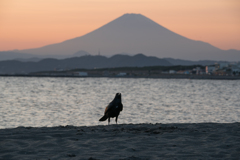 茅ヶ崎ヘッドランド