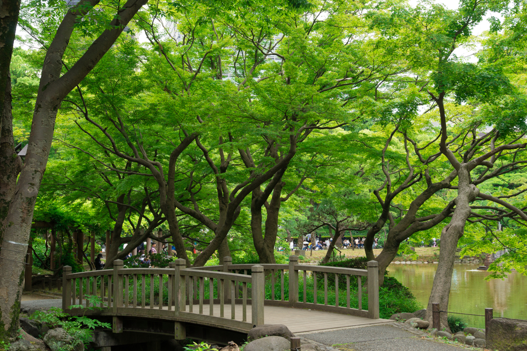 日比谷公園 橋 by momoken819 （ID：5704993） - 写真共有サイト