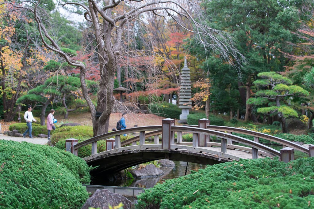 平塚総合公園　日本庭園