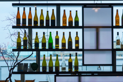 Sonnar T＊ 135mm F1.8 ZAスナップ