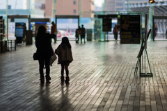 Sonnar T＊ 135mm F1.8 ZAスナップ